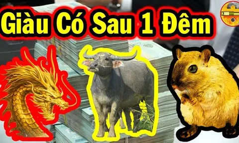 Đúng 0 giờ đêm nay: 3 con giáp Trúng số giàu to, đổi đời nhanh chóng