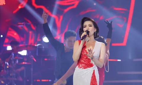 Lệ Quyên lên tiếng về vấn đề làm từ thiện