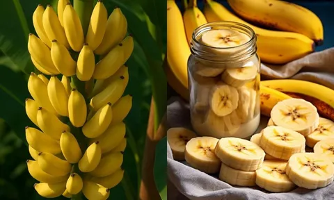 Ăn chuối vào buổi sáng nhận 5 lợi ích bất ngờ