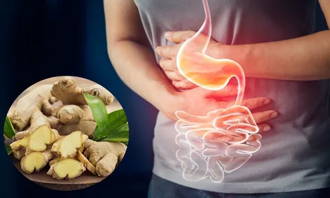 Cách ăn gừng giảm đau dạ dày hiệu quả