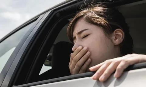 Có một số người dễ dàng bị say xe ngay khi vừa lên xe, còn số khác lại không bị. Lý do vì sao?