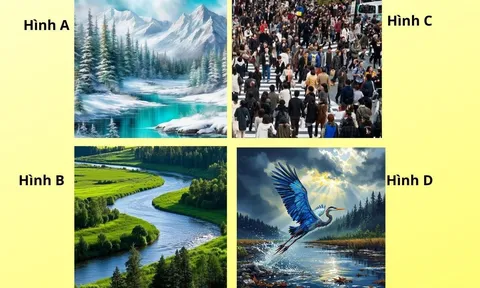 Chọn 1 trong 4 hình ảnh sau để khám phá bí mật tính cách của bạn độc lập hay dễ bị dụ dỗ?