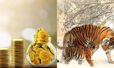 20 ngày tới (16/11-5/12): 3 con giáp hưởng vinh hoa phú quý trọn đời, tiền bạc nhân đôi, sự nghiệp bứt phá