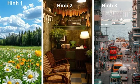 Quiz: Chọn 1 trong 3 hình ảnh để biết tâm hồn bạn Trẻ Trung hay Già trước tuổi?