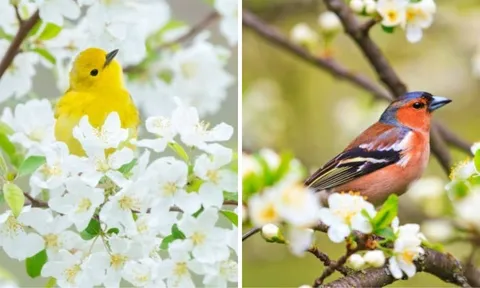 5 số cuối ngày sinh Âm lịch mang mệnh đại phúc: Càng lớn tuổi, phúc lộc càng sâu dày