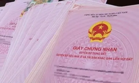 Hàng triệu người được hưởng lợi từ Luật Đất đai 2025: Quyền lợi đặc biệt bạn không thể bỏ lỡ