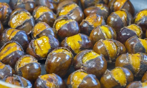 Loại hạt là nhân sâm của mùa đông, ngon - bổ - rẻ mà nhiều người không biết