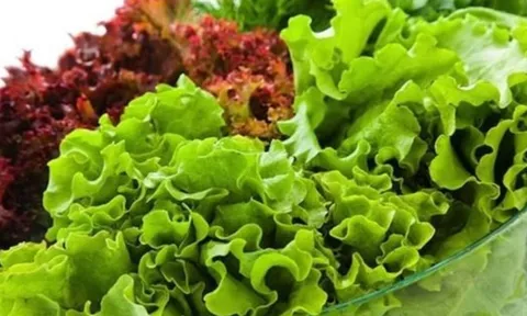 3 loại rau dễ “ngậm” hóa chất và chứa nhiều ký sinh trùng nhưng người Việt vẫn ăn hằng ngày