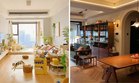 6 dấu hiệu cho thấy ngôi nhà quý hơn vàng ròng: Có cho đống tiền cũng không nên bán