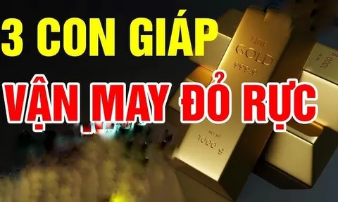 Top 3 con giáp Tứ Phương Tụ Lộc, sang tháng 12 mở cửa Tiền ùa về