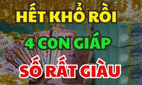 Hết ngày 19/11, 3 tuổi Tiền Của Nối Đuôi nhau về