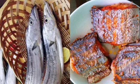 Loại cá “bổ hơn cá chép”, cực tốt cho tim và não: Người Việt có sẵn nhưng ít ai biết giá trị
