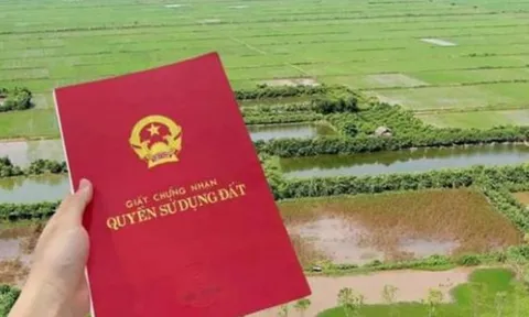 Từ 1/1/2026, chuyển đất nông nghiệp sang đất thổ cư sẽ tốn nhiều tiền hơn - Cần biết để tránh mất tiền oan