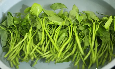 5 loại rau lành tính, ít thuốc, giá rẻ, không mua là phí