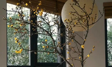 Nhà có 3 cây hoa này giống như được ướp hương, thu hút năng lượng tích cực, sự bình yên và tài lộc