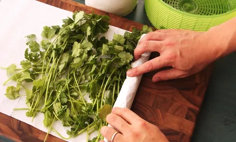 Rau mùi mua về đừng cất ngay vào tủ lạnh, làm cách này rau để cả tuần vẫn tươi ngon
