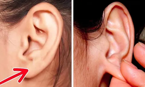 Thường xuyên Xoa Tai giúp dưỡng nhan, trị đau đầu, cường thận