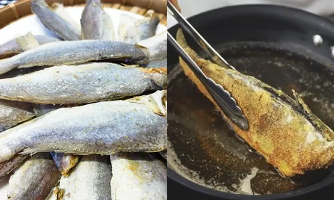 3 loại cá nhiều người hay ăn tưởng bổ nhưng cực độc: Đừng để bữa cơm thành hiểm họa sức khỏe