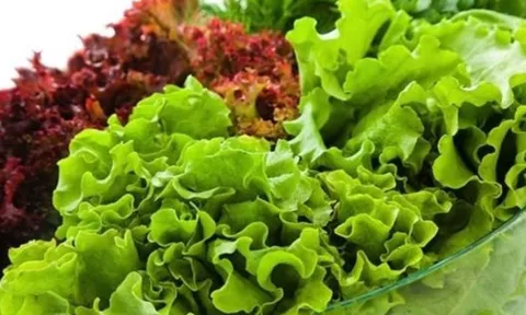 Cảnh báo: 3 loại rau dễ nhiễm hóa chất và ký sinh trùng nhưng người Việt thường ăn hàng ngày