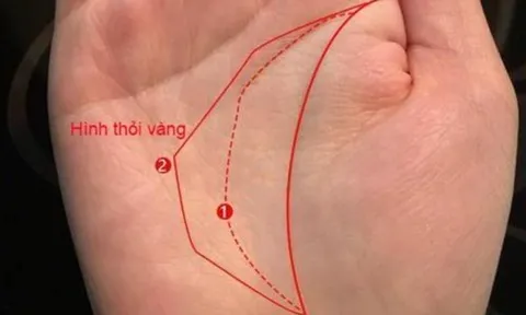 Đây là tướng tay có phúc, người sở hữu nó có cuộc đời nhiều may mắn, tiền bạc và tài lộc luôn rủng rỉnh