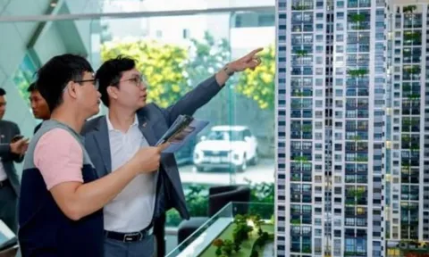 Dự báo giá chung cư 2026: Chuyên gia tiết lộ cơ hội “vàng” cho người chưa có nhà ở