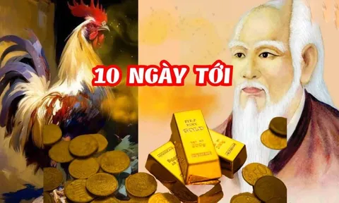 Liên tiếp 10 ngày (21/11-30/11): 3 con giáp Tiền đổ về như thác cuốn
