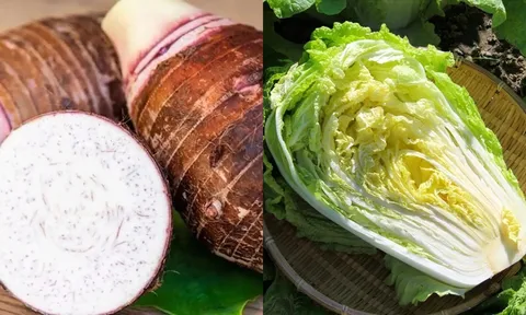 Mùa đông, 4 loại rau 'vàng' gần như không còn dư lượng thuốc trừ sâu, dù đắt cũng nên mua