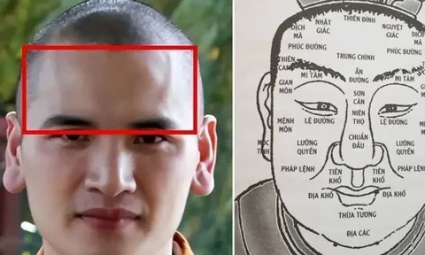 Người xưa nói, “Trán rộng như vàng, sau đầu đầy như bạc": Trán rộng thì sao?