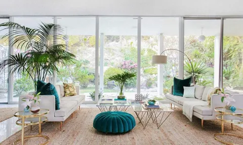 Nhà ai để 3 thứ này trong nhà đều sớm trở nên thành công và giàu có