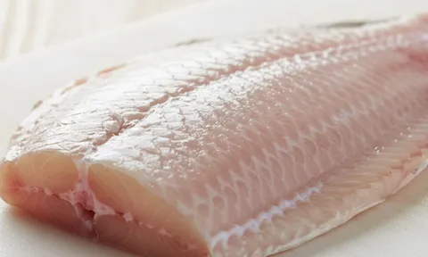 Việt Nam có loại cá bổ dưỡng ngang cá hồi, giá mềm, nhiều nước tranh mua không kịp