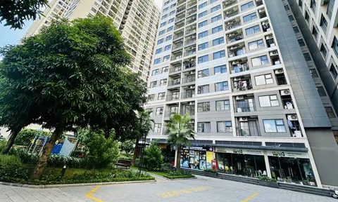 4 tầng vàng trong tòa nhà chung cư, càng ở càng có lộc, không bị mất giá