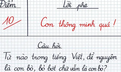 Gây bão mạng: Từ tiếng Việt để nguyên là con bò, bớt chữ vẫn thành con bò là gì?