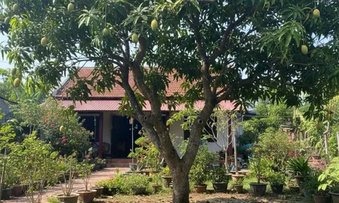 10 loại cây trong vườn vô tình thu hút rắn: Gia đình nào cũng nên biết