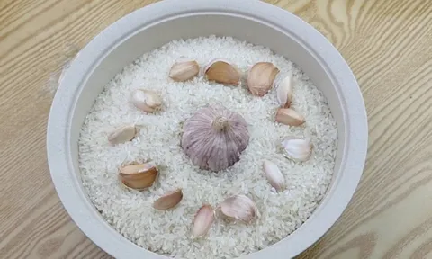 Để 4 thứ này vào thùng gạo, không chỉ giúp bảo vệ gạo khỏi mối mọt, mà còn giúp gạo thơm ngon hơn