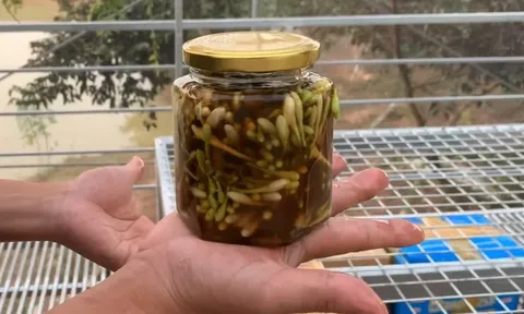 Hoa đu đủ đực ngâm mật ong cực tốt nhưng đại kỵ với 4 người này