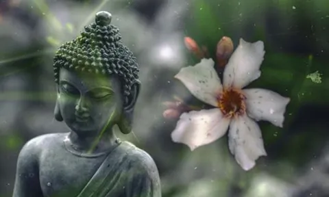 Phật dạy, muốn được Phước báo, hãy làm 5 việc này thường xuyên để tích phước