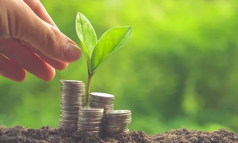 Phật dạy cách làm giàu mà vẫn giữ được phước lành, làm đúng sẽ hưởng phúc trọn đời