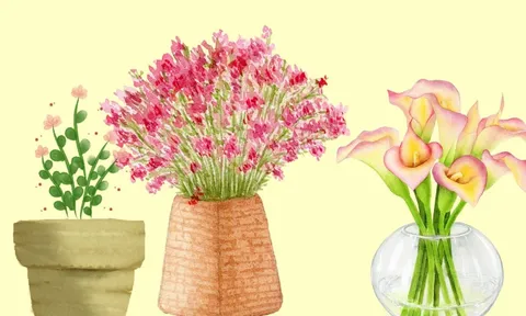 5 kiểu bình hoa trong nhà làm tổn hại phong thuỷ, gây hại gia chủ, tránh ngay kẻo lụn bại