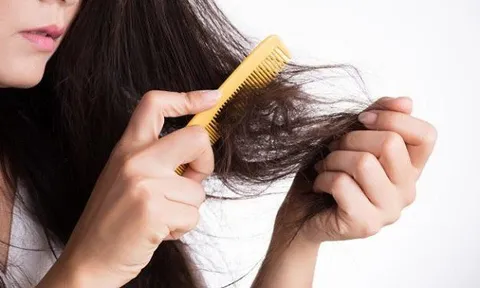 2. Làm thế nào để ngăn rụng tóc, tăng mật độ tóc mùa hanh khô?