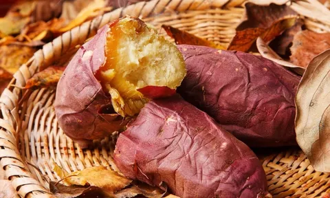 Ăn khoai buổi sáng cơ thể nhận thêm lợi ích gì?