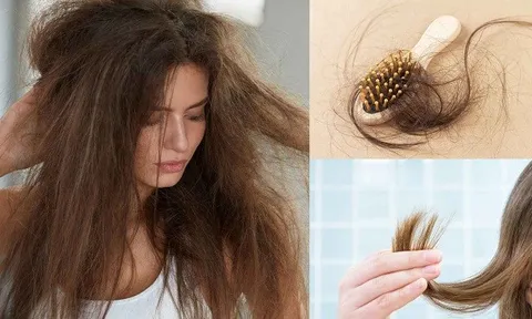 Mẹo "hồi sinh" mái tóc tẩy khô xơ, gãy rụng