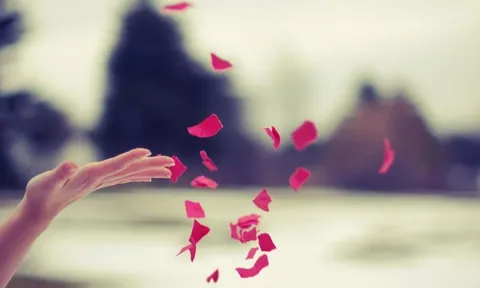 Đây là 4 thứ sẽ "hút sạch" phúc khí của một gia đình