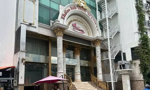 Mailisa tạm đóng cửa toàn bộ hệ thống sau khi ông bà chủ bị bắt – khách hàng cần biết gì?