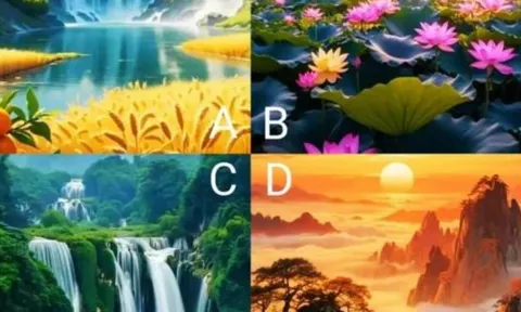Bài kiểm tra tâm lý: Chọn khung cảnh yêu thích và khám phá những đột phá bạn có thể đạt được năm 2026