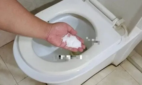 Bỏ một nắm muối vào bồn cầu: Mẹo đơn giản giúp tiết kiệm hàng trăm nghìn mỗi năm