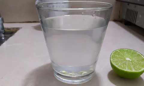 Cách uống nước chanh muối ấm giúp giảm cân, sạch ruột, không hại dạ dày
