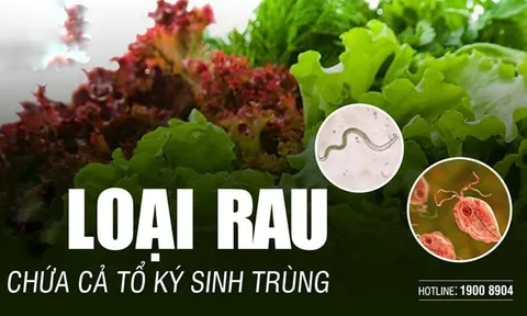 3 loại rau nhiều kí sinh trùng bám nhất, muốn ăn phải làm 1 việc