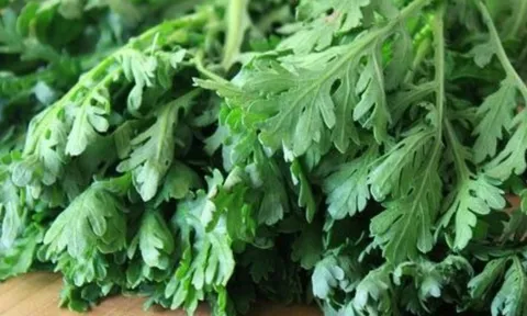 Rau cải cúc: thứ rau tuyệt vời của mùa đông nhưng cần lưu ý để giữ dinh dưỡng tốt nhất