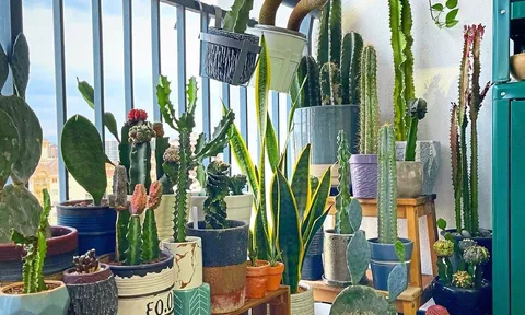 Ban công để 3 thứ này, dễ khiến nhà bạn hao tài tốn của và hay bệnh tật ốm đau