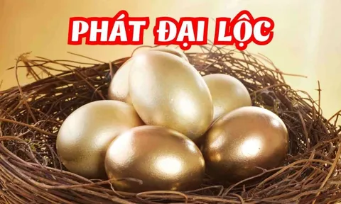 2 ngày liên tiếp (4-5/12): 3 con giáp Tình - Tiền đạt đỉnh